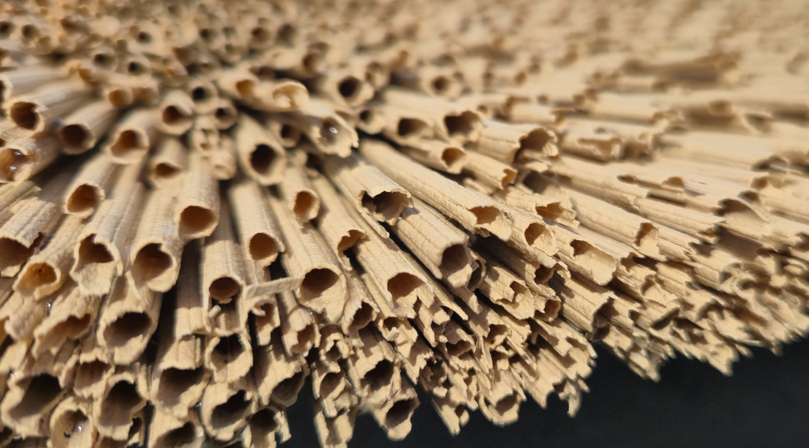 Tuinhuisje met Rietpanel sandwichpanelen